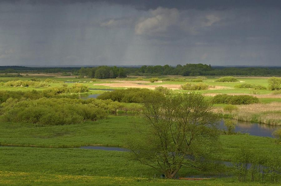 Agroturystyka Carski Trakt Wizna Exteriér fotografie